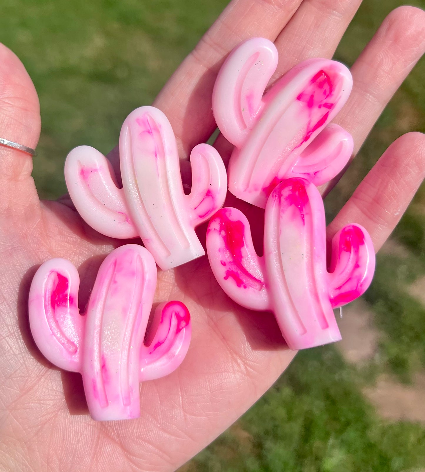 Cactus Wax Melts