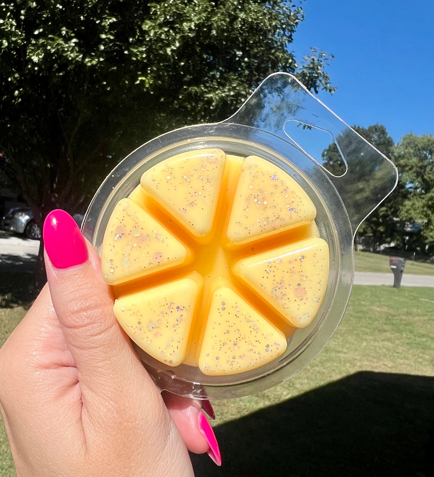 Round Clam Shell Wax Melt