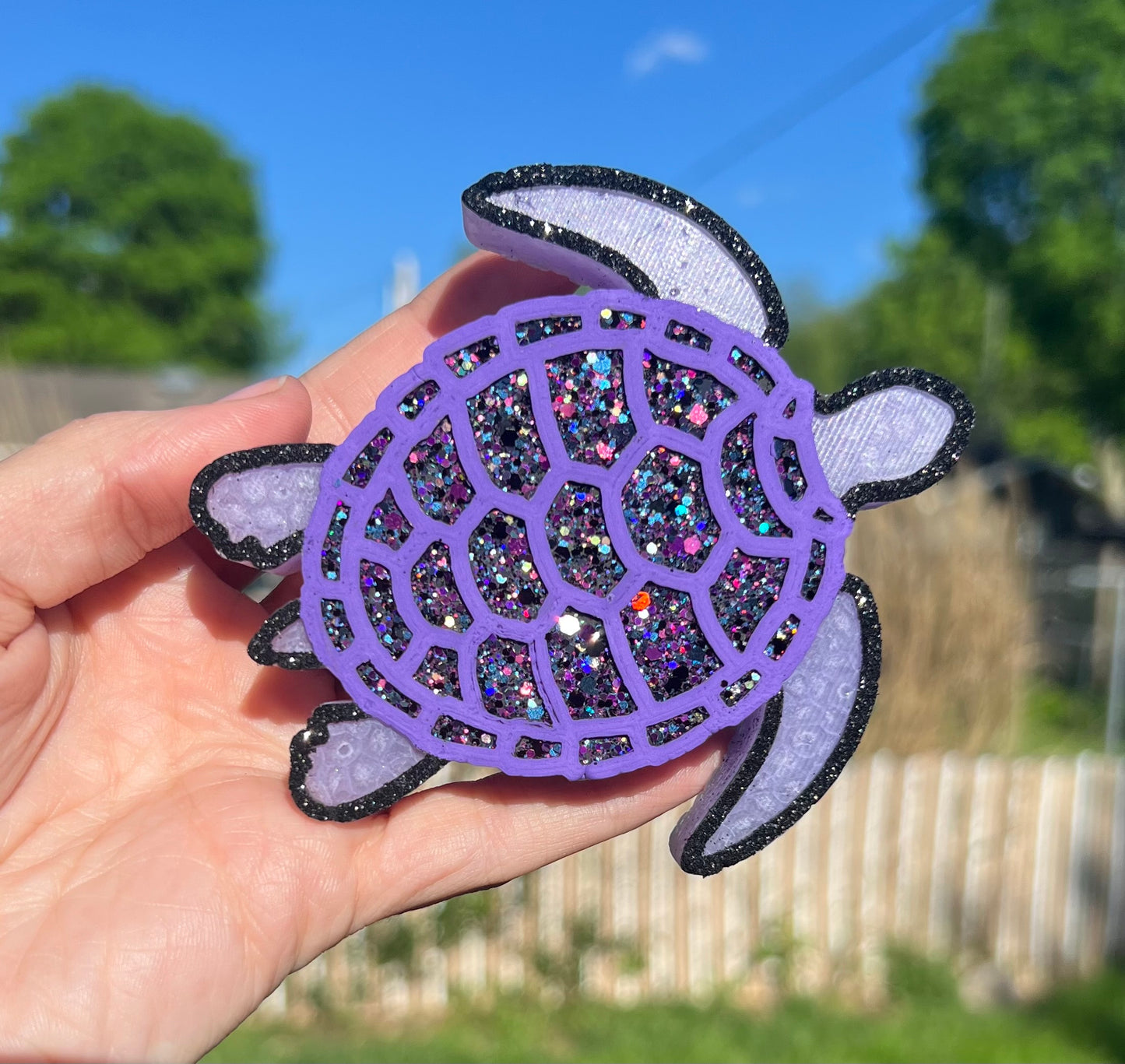 Sea Turtle