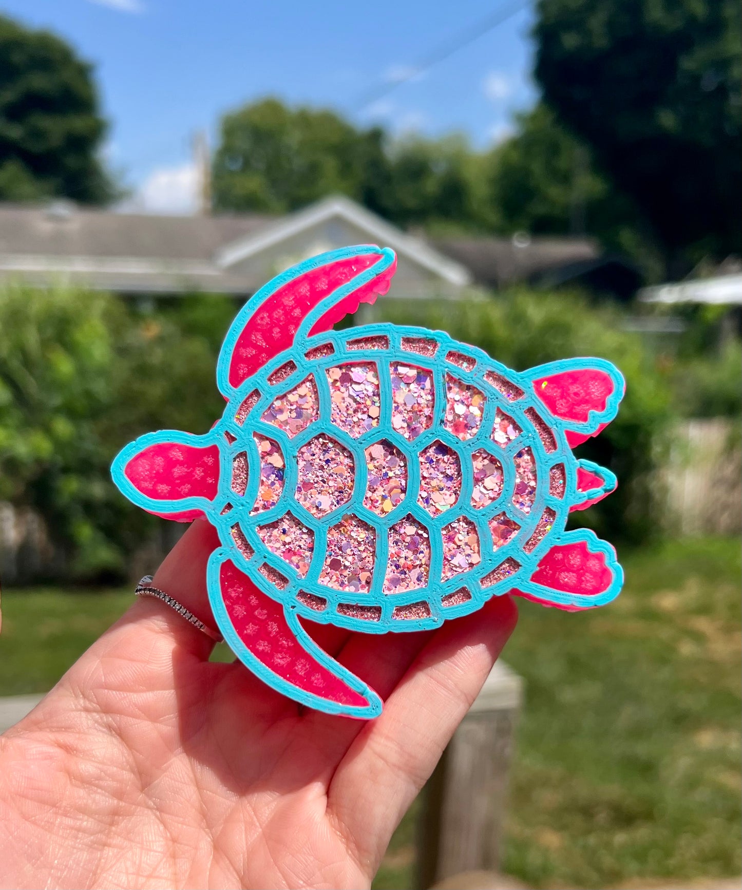 Sea Turtle