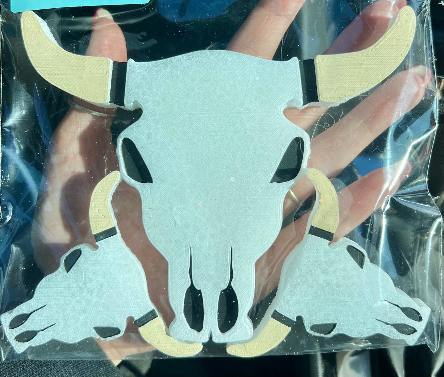 Plain Bull Skull