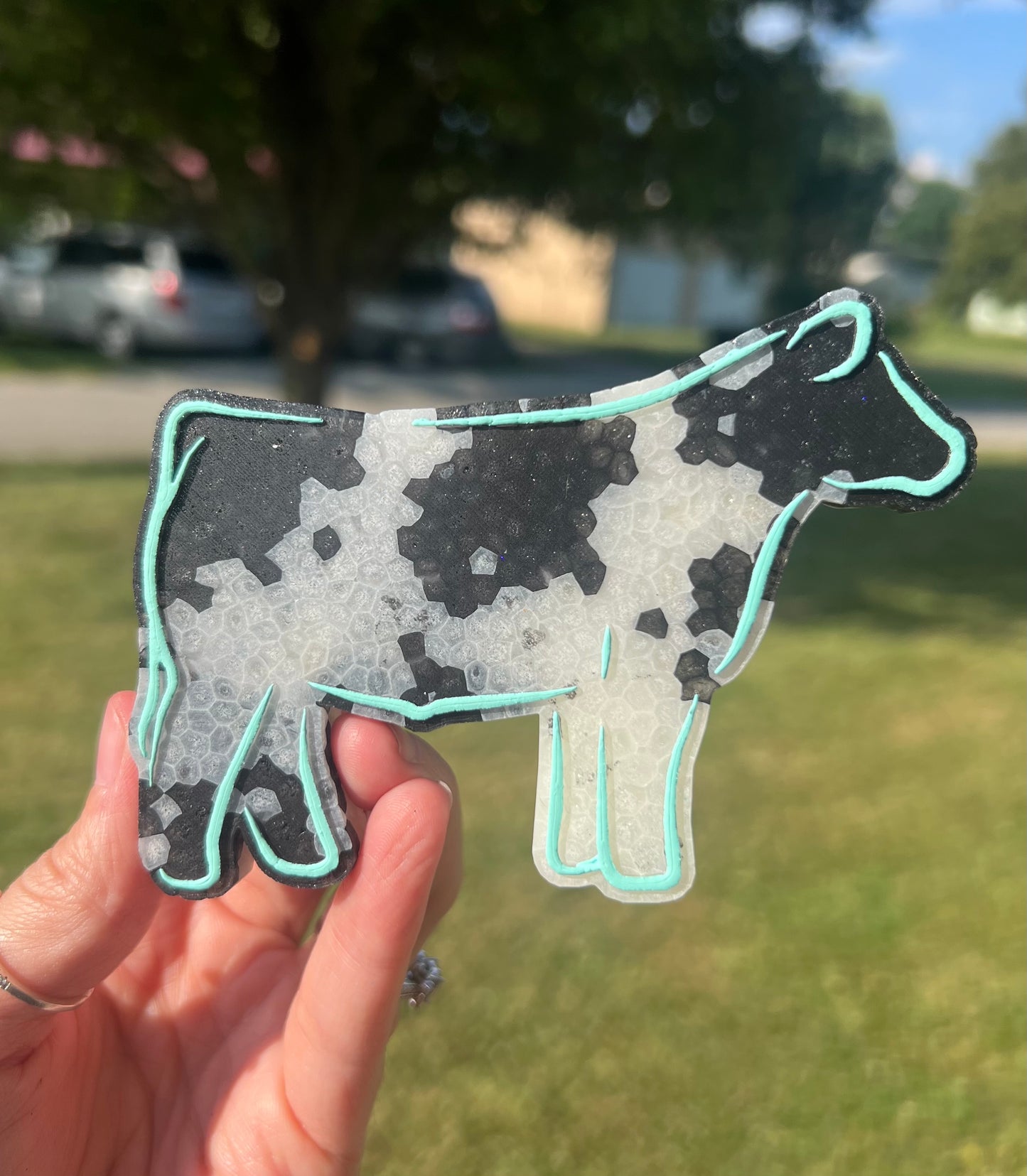Show Cow