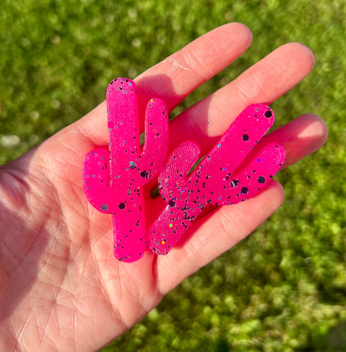 Cactus Vent Clips