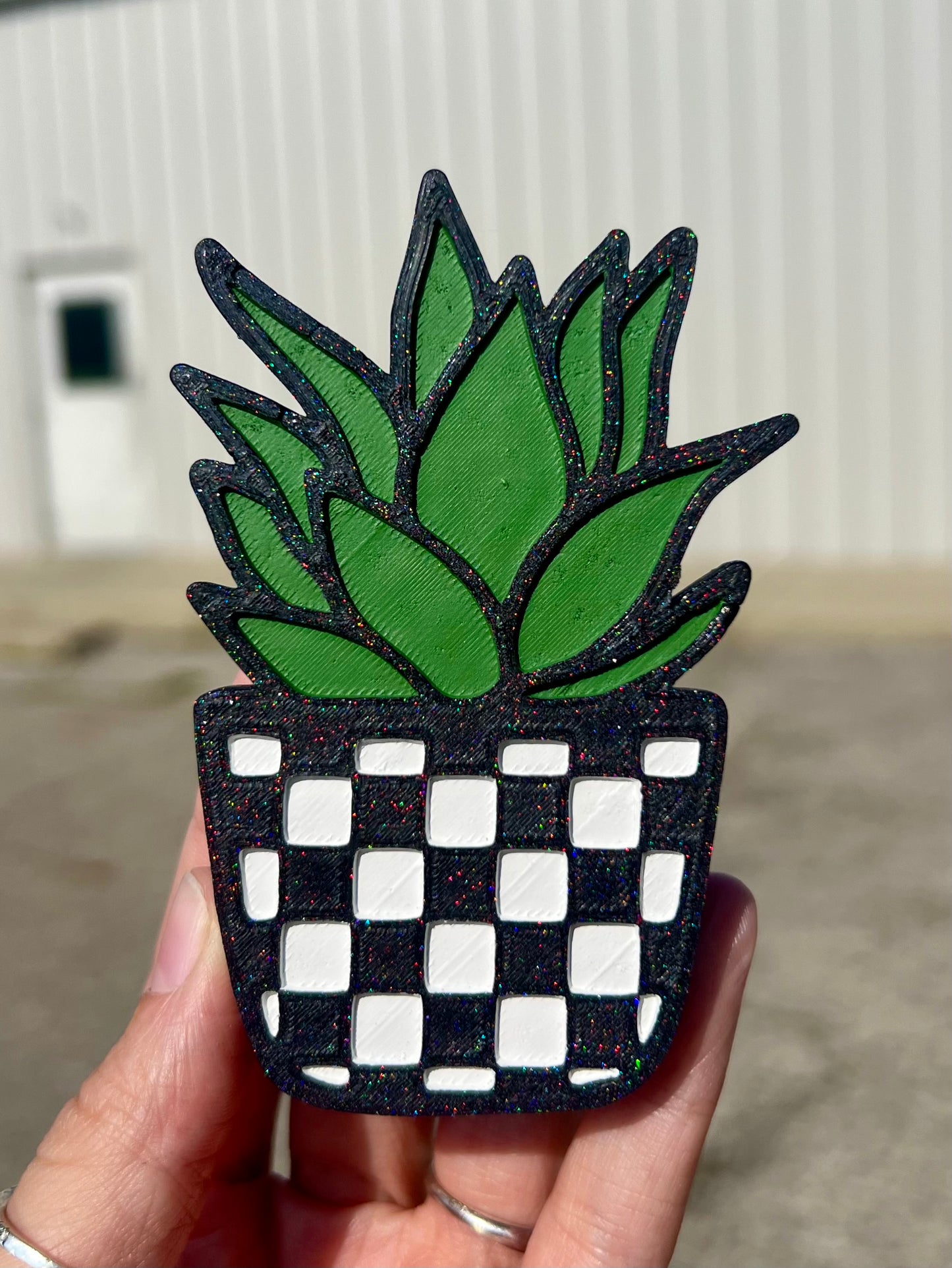 Succulent w/ Checkered Pot