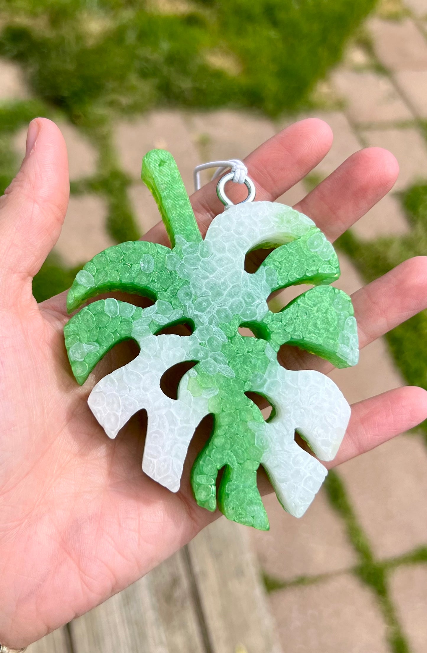 Monstera Leaf