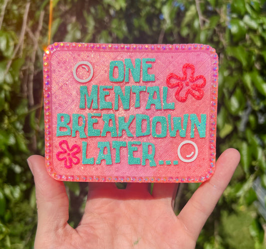 One Mental Breakdown Later…